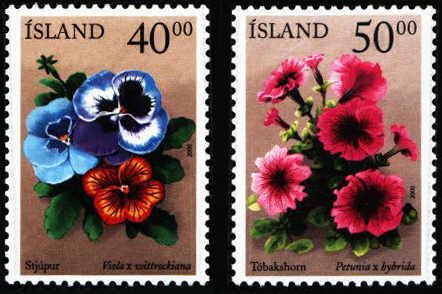 List of Icelandic plants